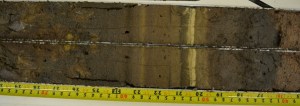 Figure 1: A section of the sediment record from Albion Ponds.