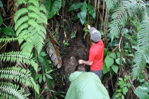 Sediment Hunting near Mera
