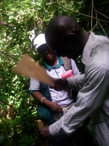 The PDRA will work with an associated PhD student looking at modern pollen-vegetation relationships in the same region.