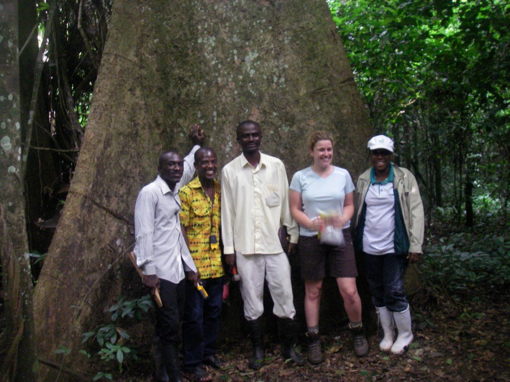 The PDRA will be part of an international team; partners based at University of Nottingham, Oxford Brooks University, Imperial College London, Oxford University, University of Texas at Austin and the Forestry Research Institute of Ghana