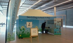 Sex & Bugs & Rock n Roll at INTECOL