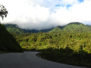 Photo taken close by the study site. The road that pass through Eastern Andes, and the magnificent Montane forest of western Amazonia behind. (Photo by M. L. Cárdenas)