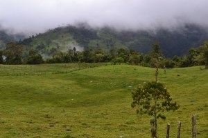 Huila bog