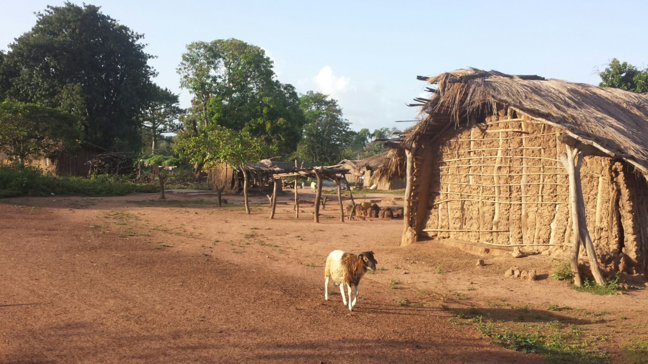 20141022_173445.jpg image