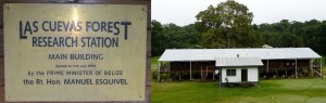 Las Cueavs Forest Reseach Station (Photograph by Anna Turbelin)
