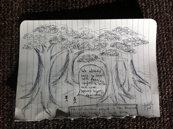 Ancient human disturbances may be skewing our understanding of Amazonian ecology. The research of Crystal McMIchael (University of Amsterdam) is captured by Judith Westveer (@water_science).