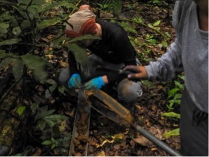  Here I’m Sampling pieces of soil cored by Louisa and checking for large pieces of charcoal