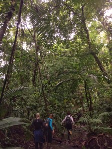 Hiking though the jungle in Panama (San Lorenzo)