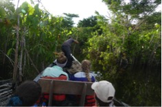 A broad path through the marsh at Zancudococha. Photo M. Bush