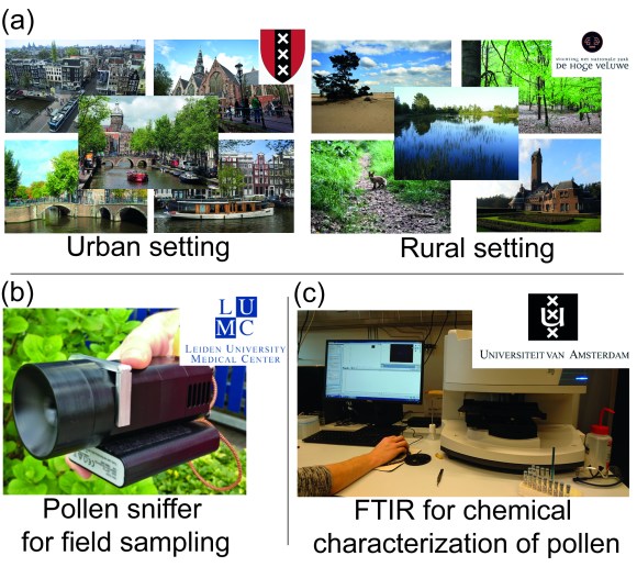 Urban vs. rural pollen chemistry project design